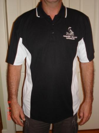 2008_polo_top.jpg